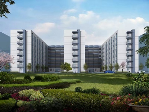 6����W����Ԣ