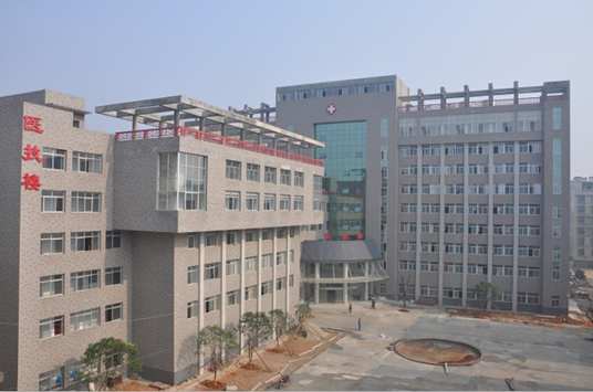 ��������tԺ�t����