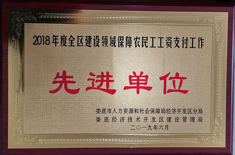 2018���ȫ�^(q��)���O(sh��)�I(l��ng)�����r(n��ng)�񹤹��Y֧�����M(j��n)��λ